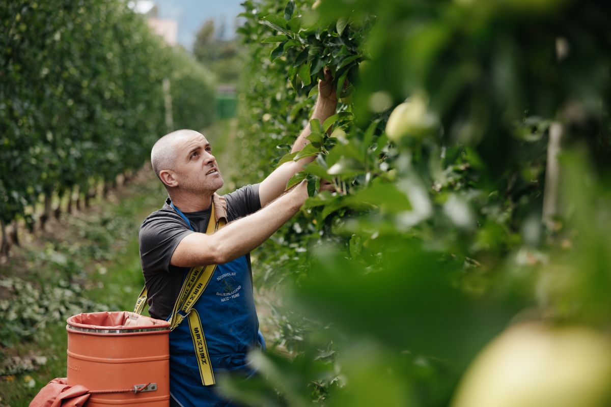 Urlaub auf dem Bauernhof - Viums in Südtirol Bild: Unser Bauernhof