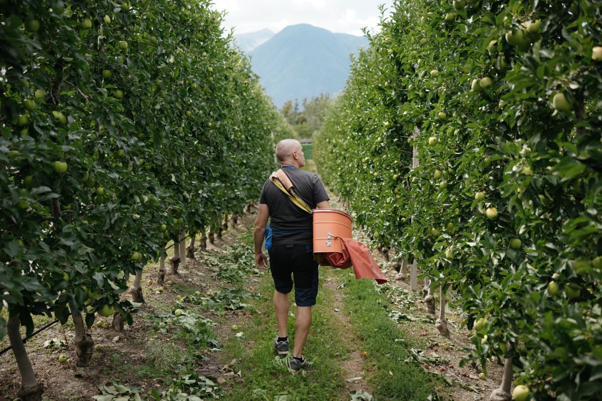 Urlaub auf dem Bauernhof - Viums in Südtirol Bild: Unser Bauernhof