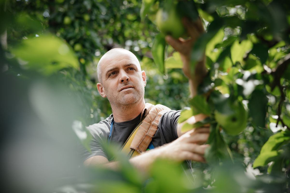 Urlaub auf dem Bauernhof - Viums in Südtirol Bild: Unser Bauernhof