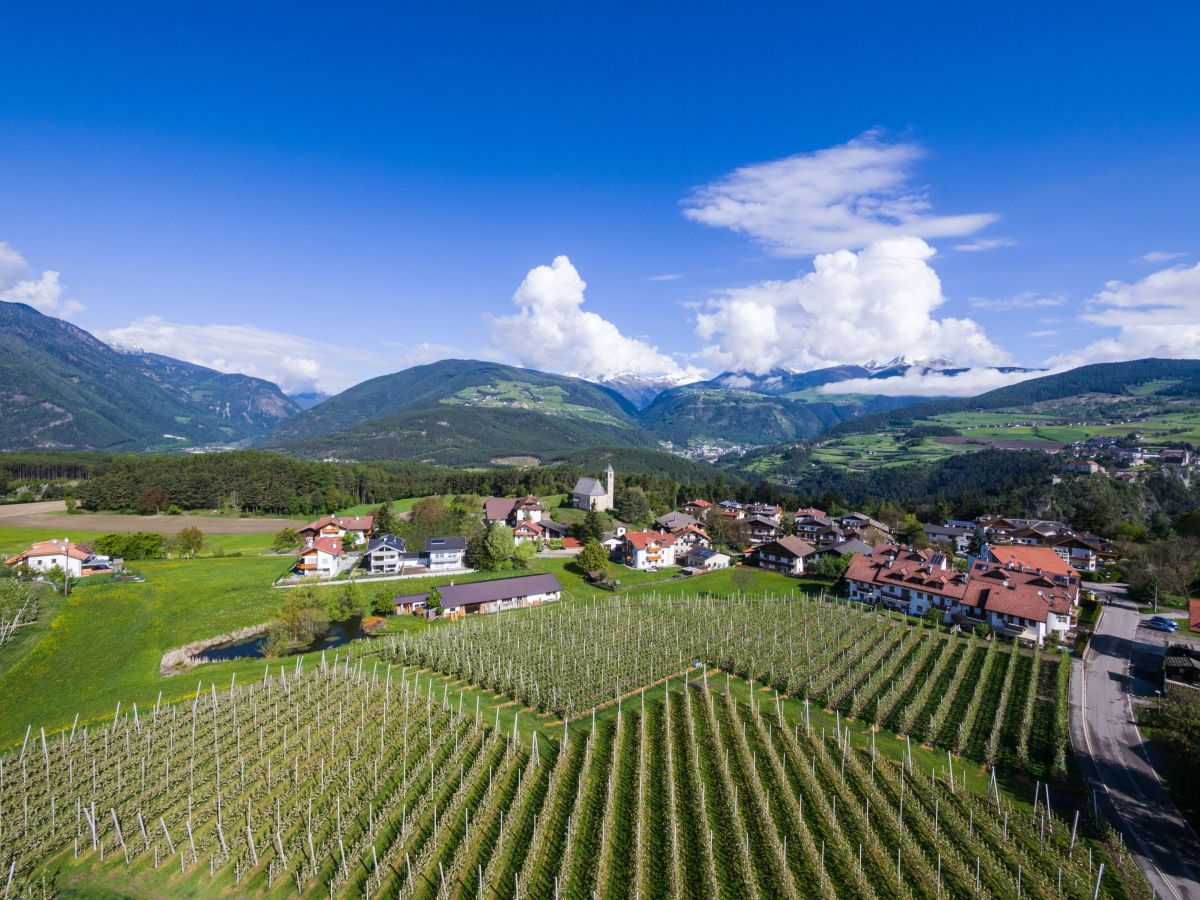 Plattnerhof: Einzigartige Apartments im Herzen Südtirols Bild: Urlaub auf dem Bauernhof Plattnerhof
