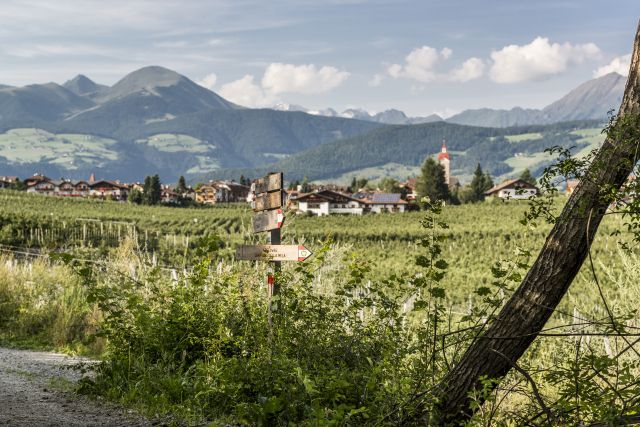 Immagine: Plattnerhof in Val d'Isarco