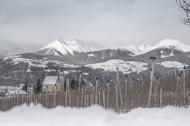 Immagine: Plattnerhof in Val d'Isarco