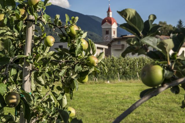 Immagine: Vacanze estive al Plattnerhof