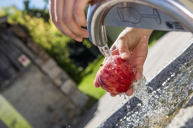 Immagine: Vacanze estive al Plattnerhof