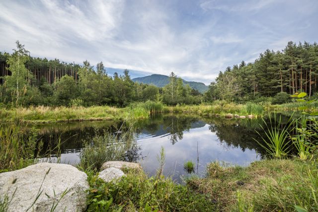 Immagine: Vacanze estive al Plattnerhof