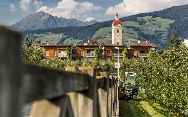 Immagine: Vacanze estive al Plattnerhof