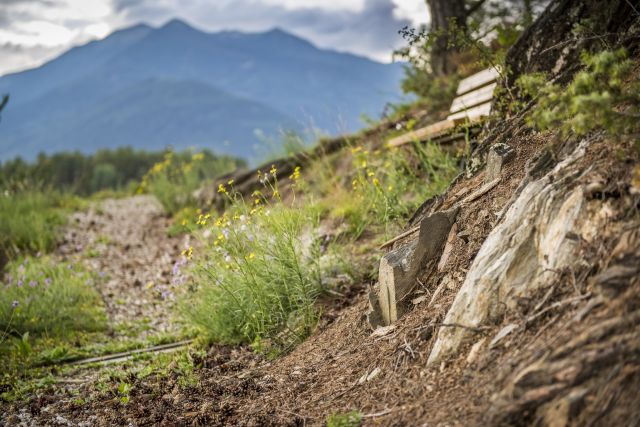 Immagine: Vacanze estive al Plattnerhof