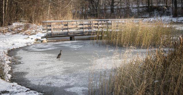 Immagine: Vacanze invernali - Val d’Isarco