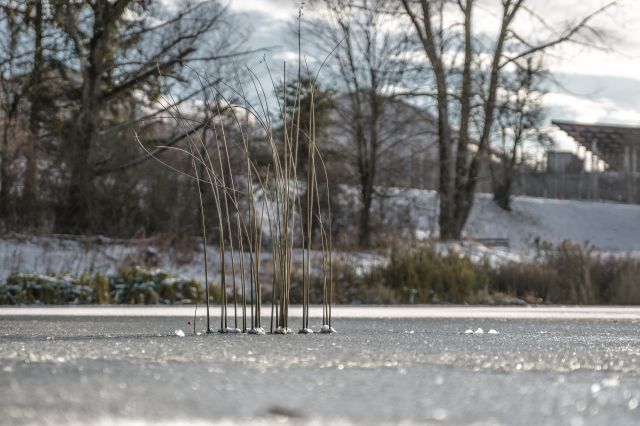 Immagine: Vacanze invernali - Val d’Isarco