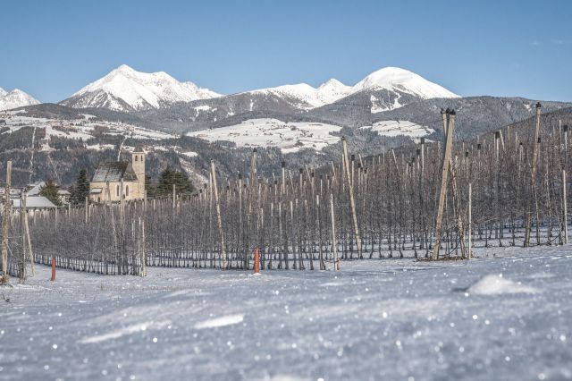 Immagine: Vacanze invernali - Val d’Isarco