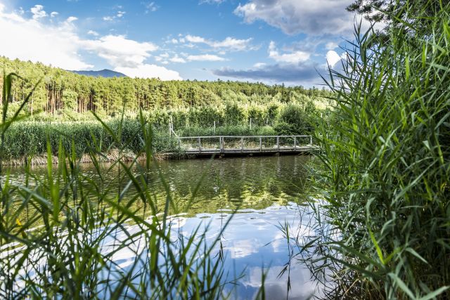 Immagine: Vacanze in Val d’Isarco in Alto Adige