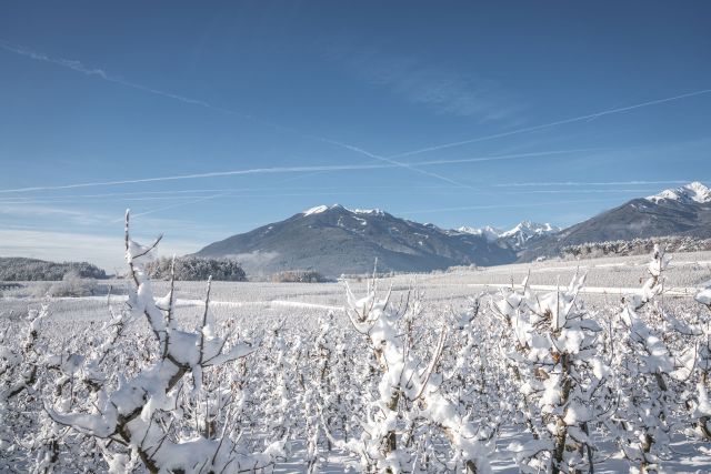 Immagine: Vacanze in Val d’Isarco in Alto Adige