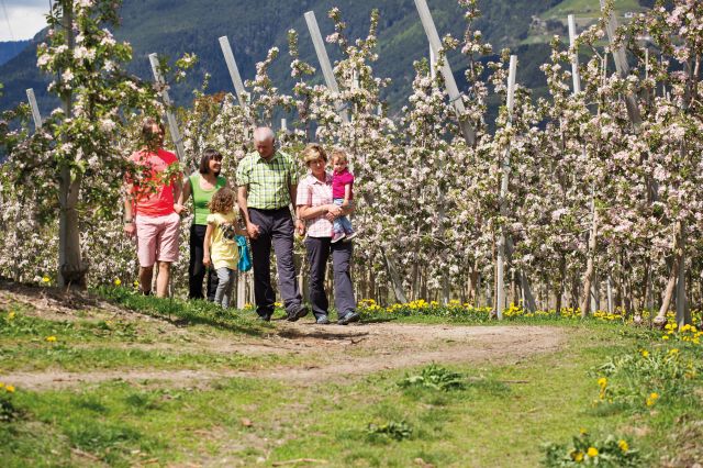 Immagine: Vacanze in primavera al Plattnerhof