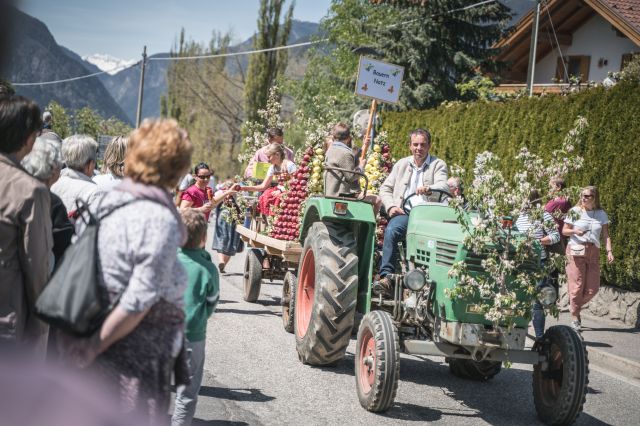 Immagine: Vacanze in primavera al Plattnerhof