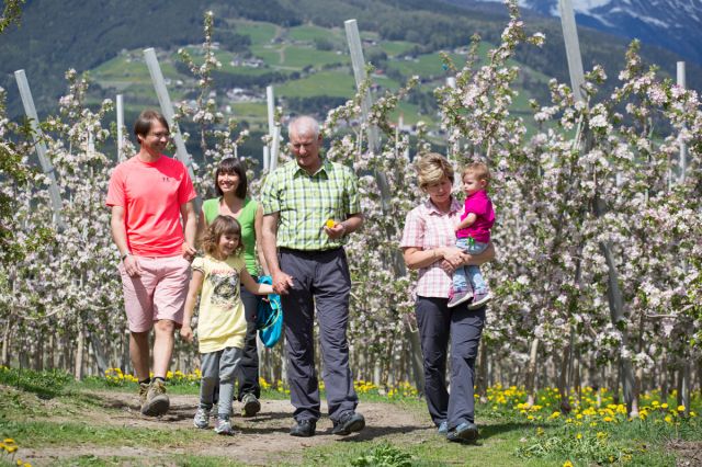 Immagine: Vacanze in agriturismo per tutta la famiglia
