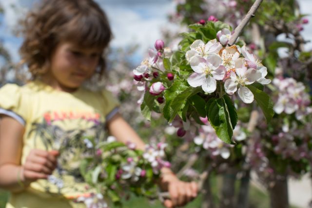 Immagine: Vacanze in agriturismo per tutta la famiglia