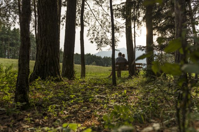 Immagine: Vacanze autunnali al Plattnerhof
