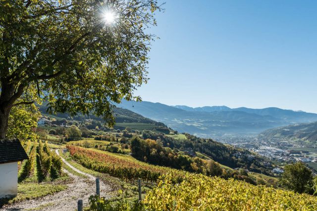 Immagine: Vacanze autunnali al Plattnerhof